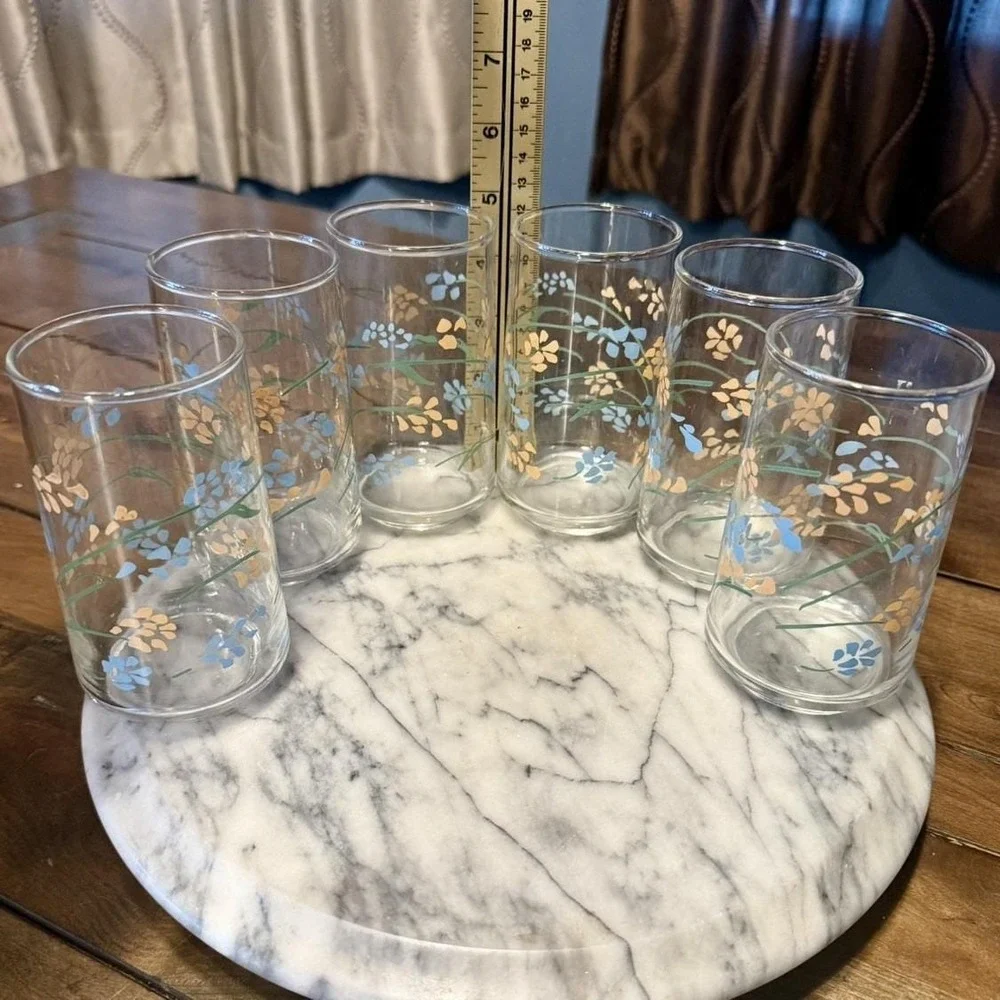 12pc VTG 1950s Mexican Termocrisa Glass Glasses Peach Blue Floral Flowers Mexico